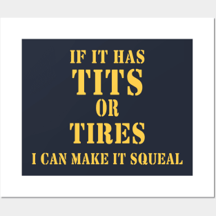 IF IT HAS TITS OR TIRES I CAN MAKE IT SQUEAL Posters and Art